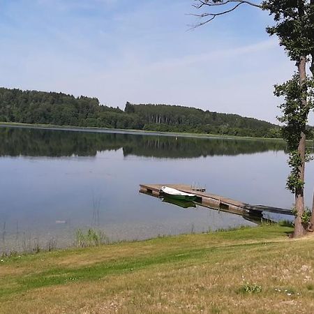 Vila Galadusis Prie Ezero Lazdijai Buitenkant foto